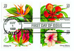 flower stamps photo